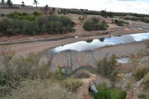 توسيع مصب الصرف الصحي يلتهم المساحات الفلاحية بالوادي