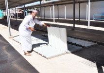 Les marchands de légumes d'Aïn-Sefra interpellent le wali