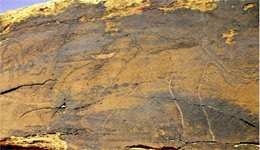 Laghouat/Bekhedache : Un site touristique en quête de valorisation