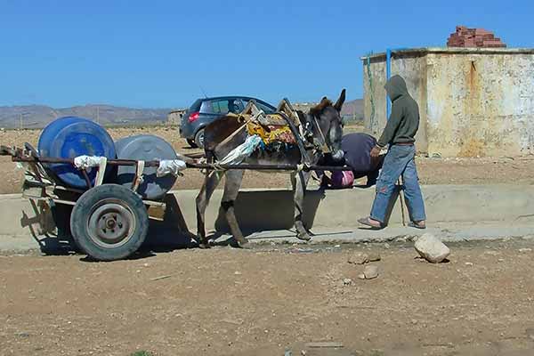 العطش يلاحق سكان قرى بلدية أولاد أحمد تيمي بأدرار