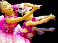 Le public algérois émerveillé par la prestation de jeunes artistes chinois