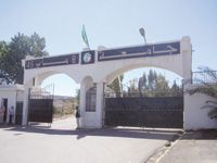 Université de Guelma                                    Le bachelier handicapé lance un appel pressant aux autorités