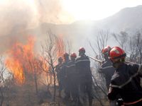 Incendies dans l'Est du pays                                    Quand la canicule attise les flammes