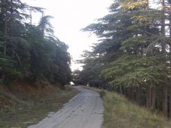 جبال الشلعلع بباتنة مقصد الهاربين من ضوضاء المدينة