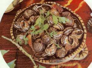 Escargots aux oignons et aux tomates