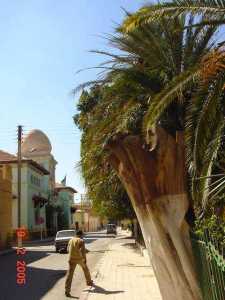 Présentation de Biskra