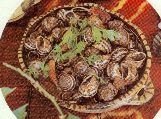 Escargots aux oignons et aux tomates