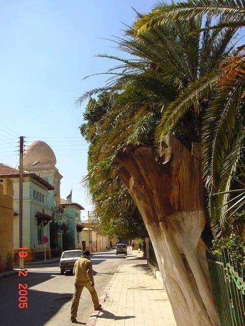 Présentation de Biskra