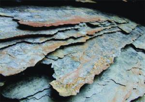 L'investissement dans le gaz de schiste est-il une option fiable pour l'Algérie ' (I)