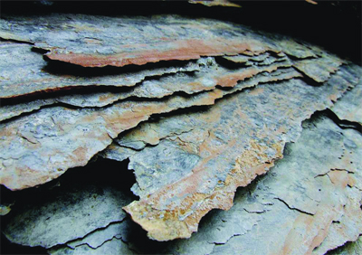 L'investissement dans le gaz de schiste est-il une option fiable pour l'Algérie ' (I)