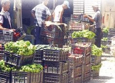 وهران...سوق الجملة الجديدة ب