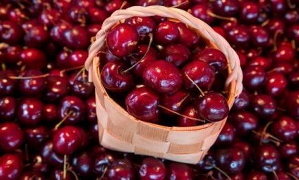 العاصميون يحجون إلى تيزي وزو لاقتناء الكرز