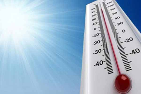 الحر يدخل 60 شخصا المستشفى بتيزي وزو