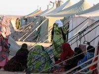 Soutien au référendum d'autodétermination                                    Nouvel articlemme kerry kennedy visite les camps de réfugiés sahraouis