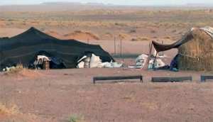 الجلفة : مشاريع التجديد الريفي ....إضافة نوعية لجهود مكافحة التصحر