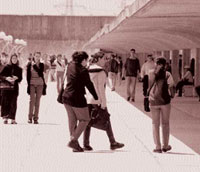 Oran                                    Usto : la 1re promotion LMD arrive