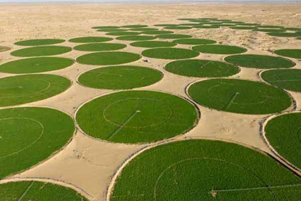 فلاحو الوادي يدقون ناقوس الخطر والمواطنون مرتاحون