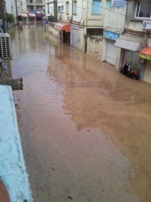 Des pluies orageuses s'abattent sur le Nord de l'Algérie