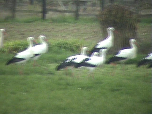 geste banal mais qui sert