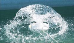 تبذير هنا وشح هناك في مياه المدية