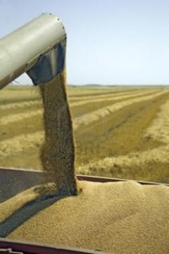 L'Algérie sera directement touchée                                    UNE AUTRE CRISE ALIMENTAIRE SE PROFILE À L'HORIZON