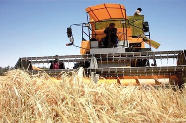 1,8 million de quintaux attendus