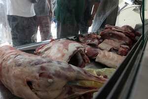 حجز 148 كلغ من اللحوم الفاسدة خلال رمضان بإيليزي