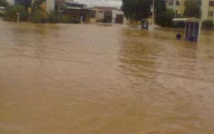 مقتل شيخ وابنه في سيل جرف سيارة ببسكرة