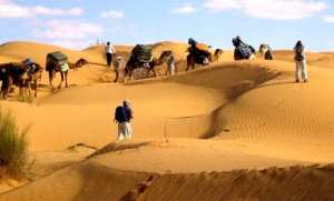 أكثر من 1.500 سائح أجنبي توافد على أدرار خلال الموسم السياحي المُنقضي