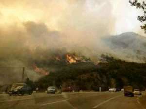 المدية : التحكم في حريق غابة الحمدانية بعد 40 ساعة من اندلاعه