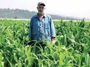 Le défi d'un agriculteur de Azzaba