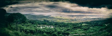 Réserve de Djebel Ouahch : Le «poumon de Constantine» en quête de réhabilitation