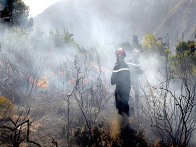 Dans plusieurs régions du pays : Des dizaines d'hectares ravagés par les feux