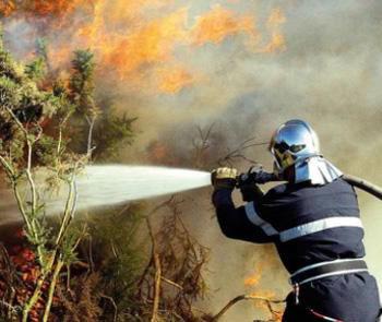 8 wilayas en proie aux flammes!