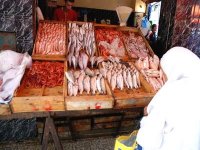 La CAPA veut accélérer la création d'une SPA pour mieux organiser le marché du poisson