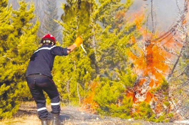 Près de 600 hectares ravagés par le feu