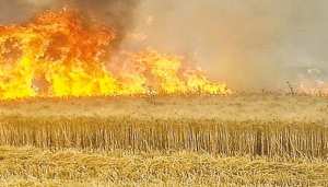 Plus de 104 hectares de céréales ravagés par les flammes