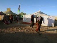 Le rapport de la fondation Kennedy accable Rabat                                    Sahara Occidental