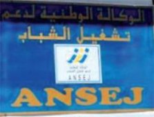 استحداث 20 ألف منصب عمل في إطار دعم تشغيل الشباب بتيبازة