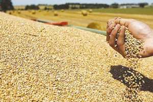 Algérie - EN RAISON D’UNE FAIBLE PLUVIOSITÉ:  Le spectre du stress hydrique plane sur le pays