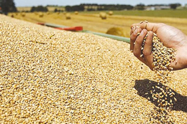 Algérie - EN RAISON D’UNE FAIBLE PLUVIOSITÉ:  Le spectre du stress hydrique plane sur le pays