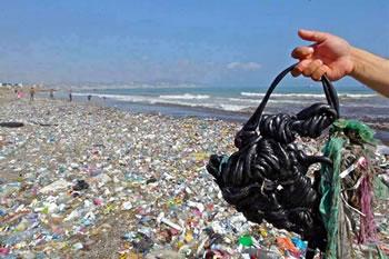 Pneus, cuvettes de toilettes, un frigo...au fond de l'eau