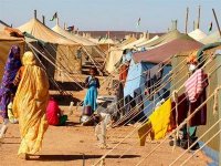 2 organisations algériennes et une délégation sahraouie appellent l'ONU à assumer ses responsabilités au Sahara occidental