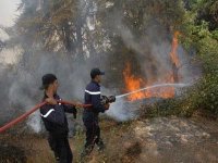 Les incendies font 78 milliards de centimes de dégâts                                    Tizi-ouzou