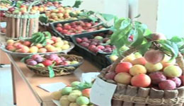 Béjaïa : Fête de la prune à Laalam