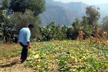 Un relief montagneux inexploité