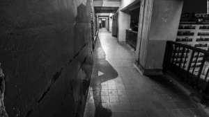 Tlemcen : «Liberté aux expressions multiples» à l’Institut français