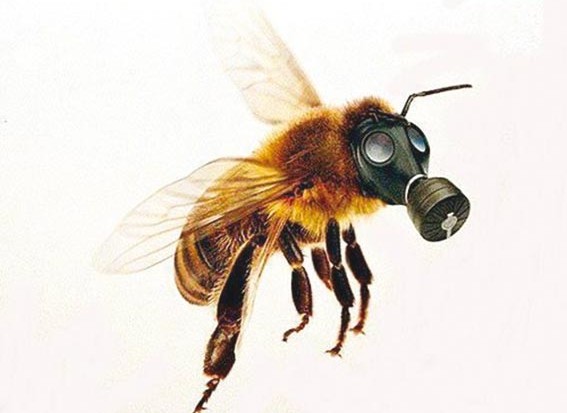 Les doutes ne subsistent plus