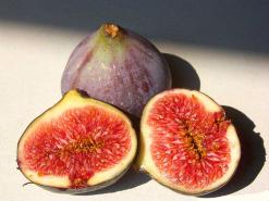 حضر العيد وغاب التين                                    انطلاق الطبعة السادسة لعيده بتيزي وزو