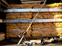 Pomme de terre : l'Algérie recourra à des importations d'appoint si nécessaire (Benaïssa)